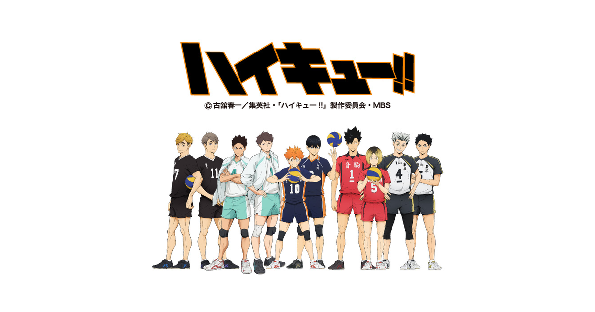 ハイキュー スーパースポーツゼビオ