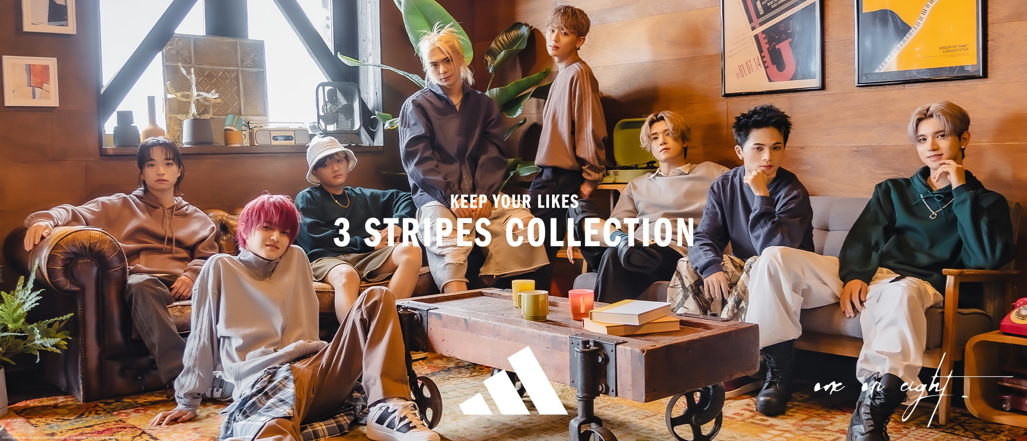 3 STRIPES COLLECTION