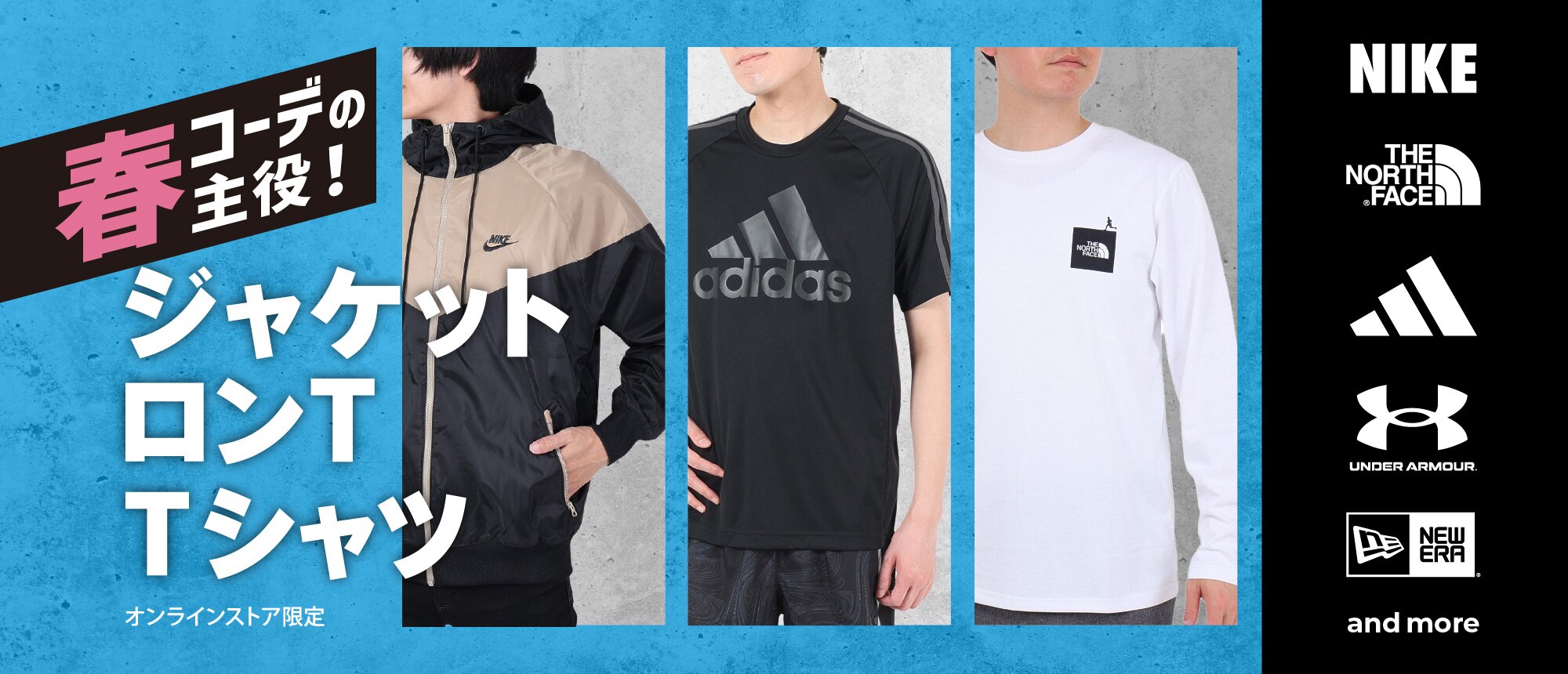 ジャケット、ロンT、Ｔシャツ特集