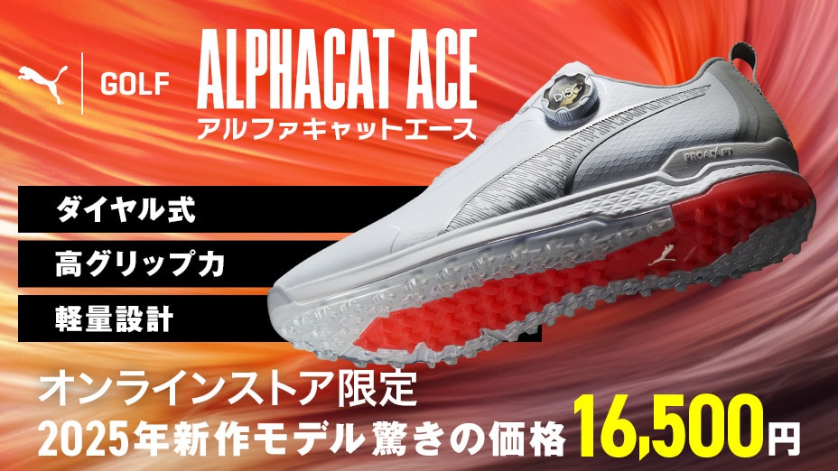 アルファキャット エース