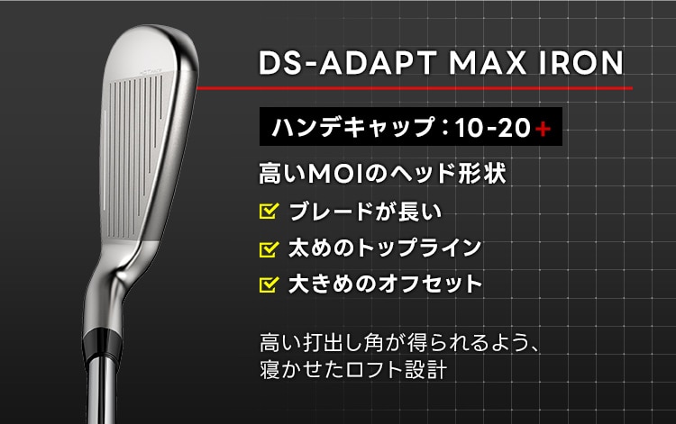 DS-ADAPT MAXアイアン