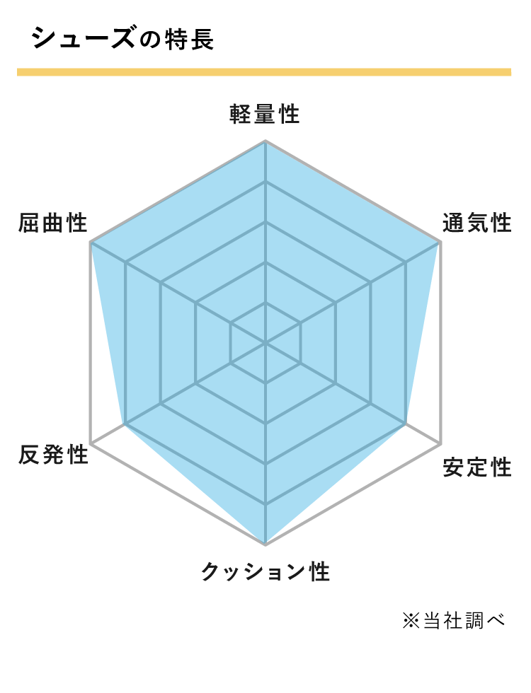 シューズスペック