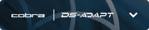 DS-ADAPT