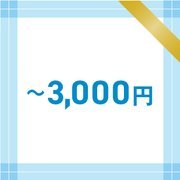 ~3,000円