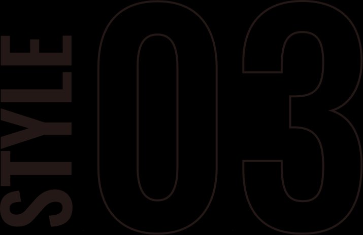 STYLE 03