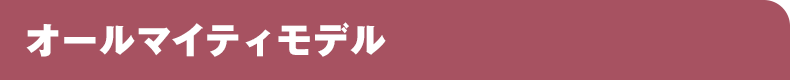 オールマイティモデル