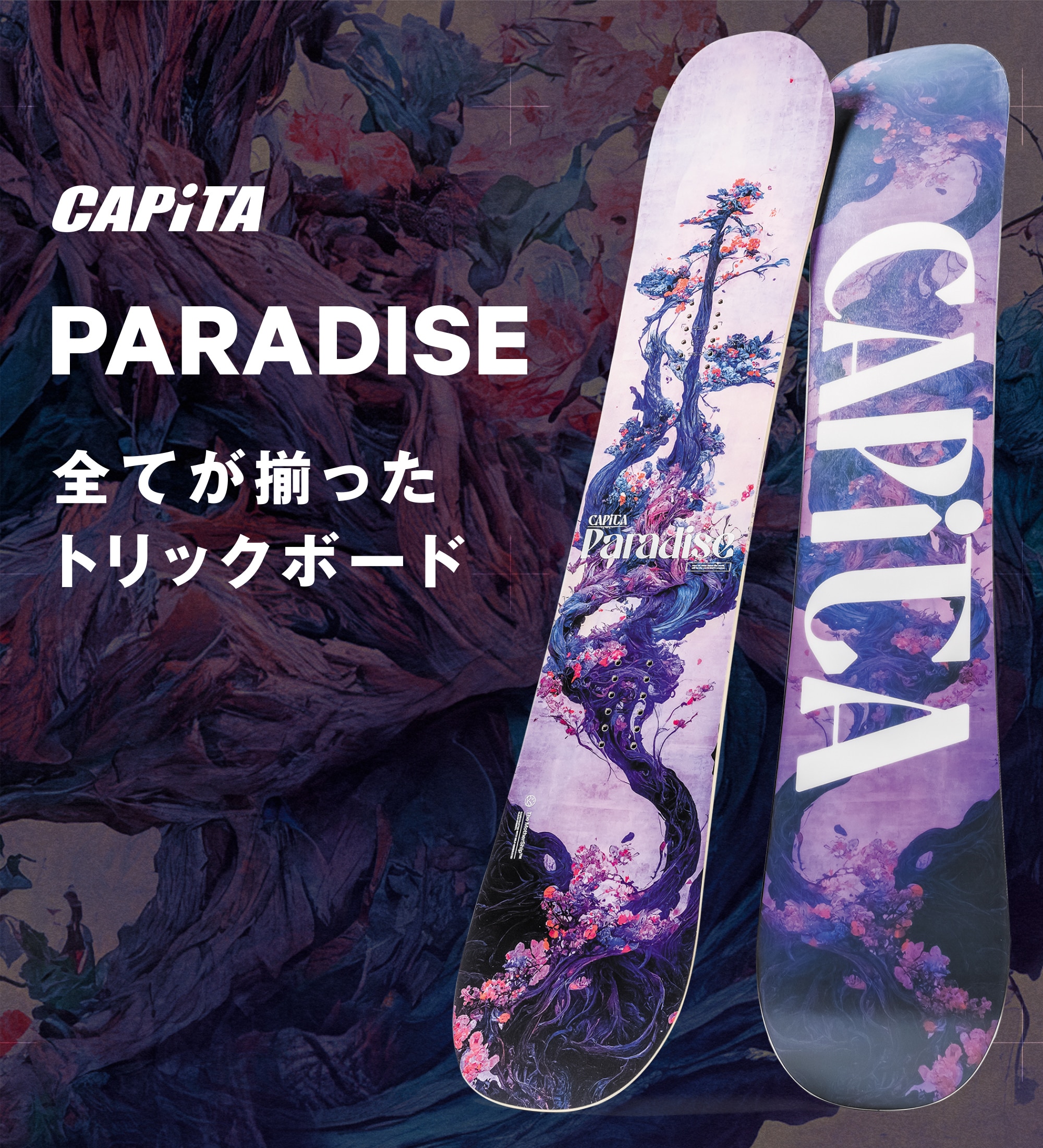 本店_10861261701_25 PARADISE_1