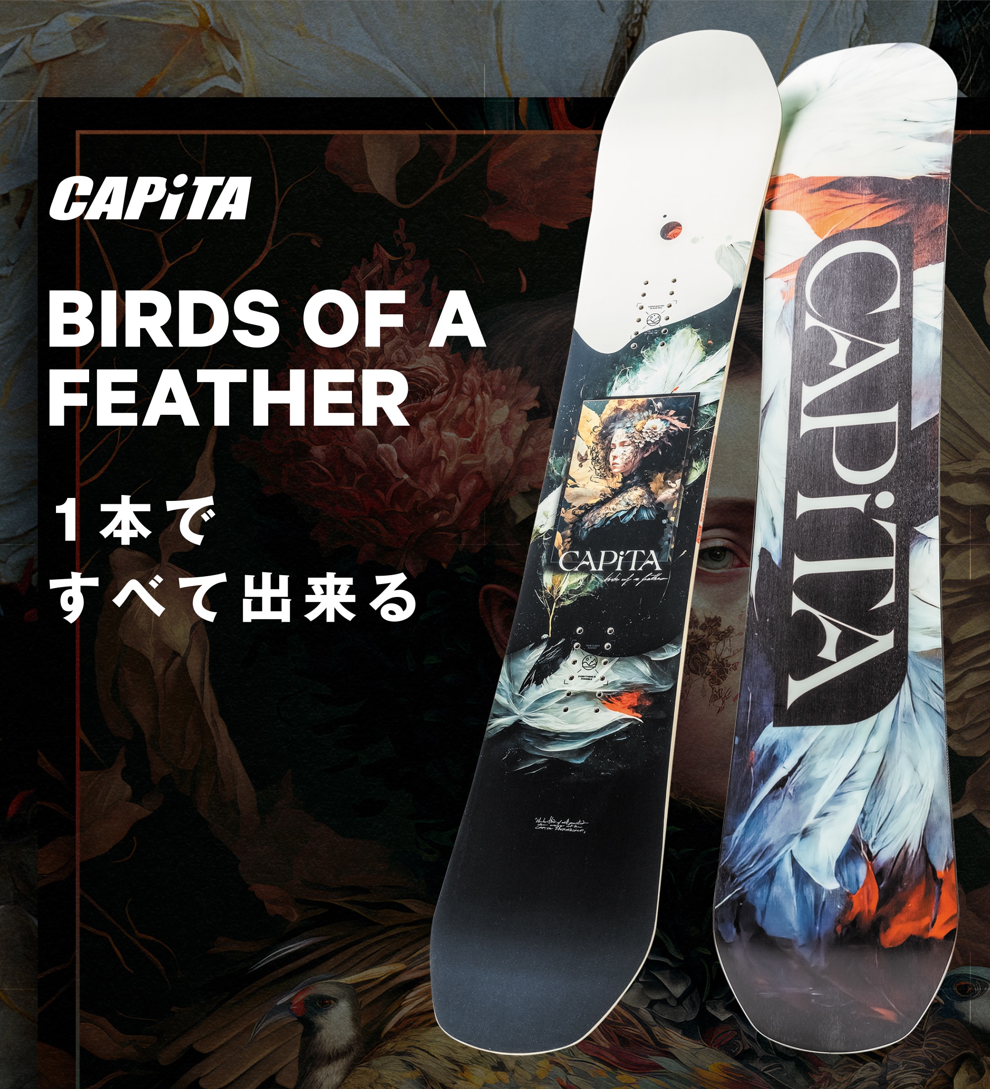 本店_10861261601_25 BIRDS OF A FEATHE_1