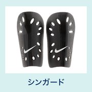 シンガード
