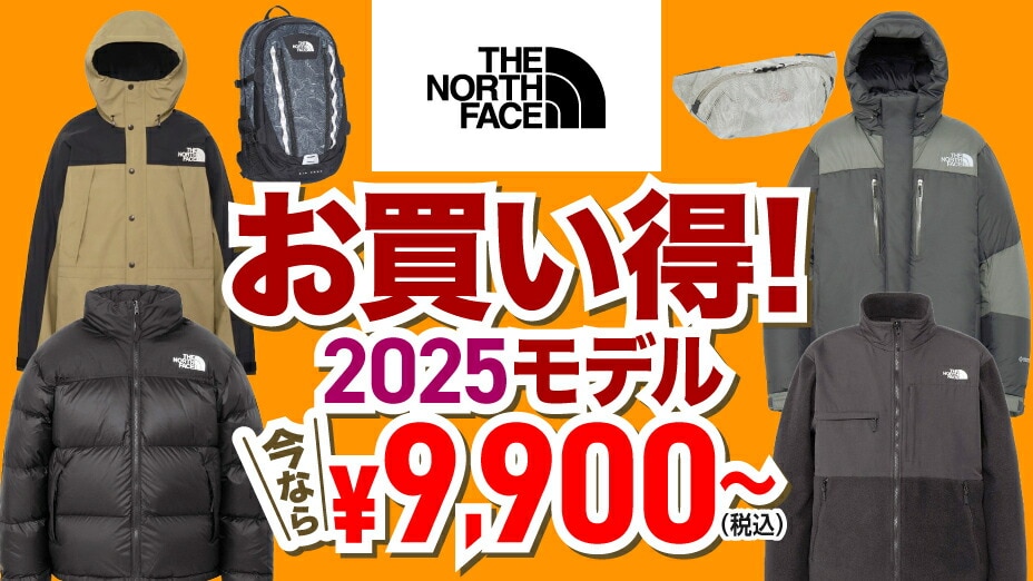 ザ・ノース・フェイス（THE NORTH FACE）（メンズ）バーブライト