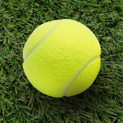 硬式テニスボール