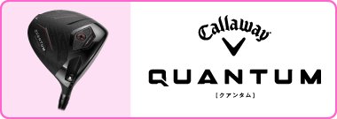 QUANTUM MAX FAST