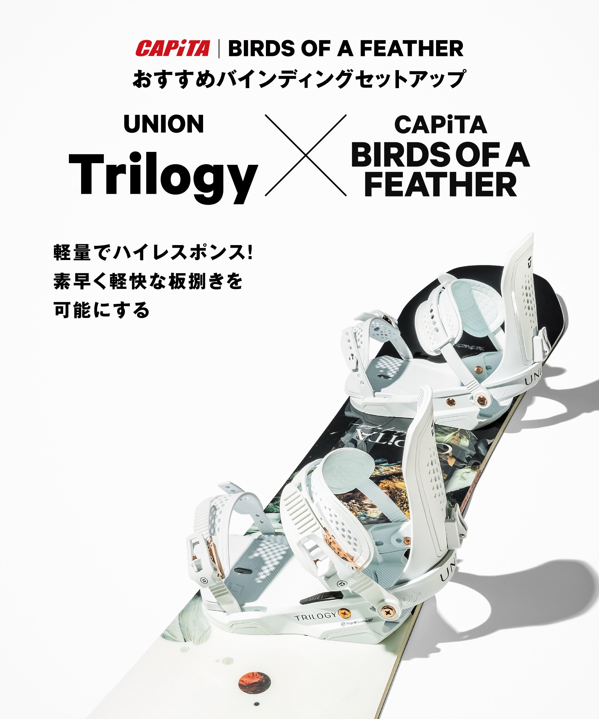 本店_10861261601_25 BIRDS OF A FEATHE_4